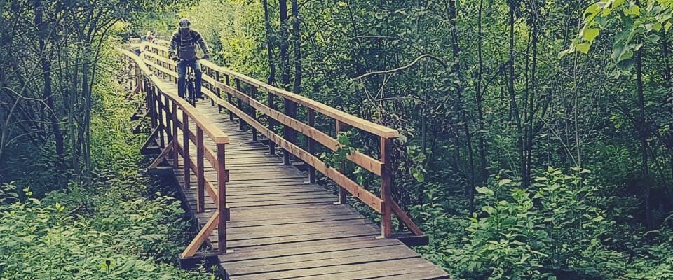 Cycling Tracks Druskininkai